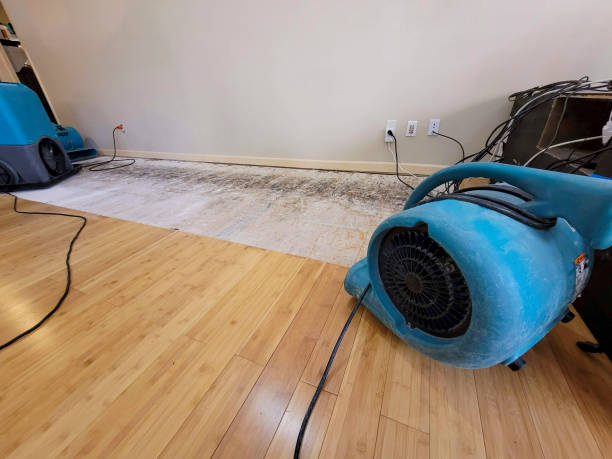 Professional Flood Damage Cleanup technician working in Arnold, PA